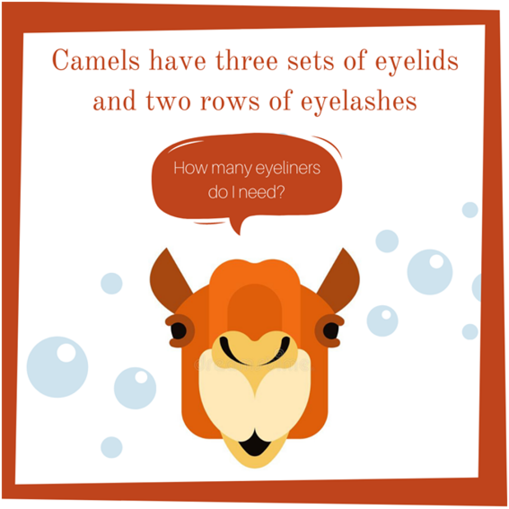 Have You Ever Thought Why Camels Have Multiple Eyelashes