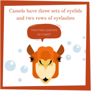 Camels have three sets of eyelids