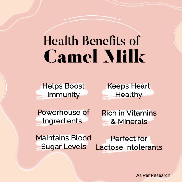 HYE FOODS Camel Milk Powder | Good for Height Growth Milk Allergies and Immunity High Nutrition Pure & Natural 500g