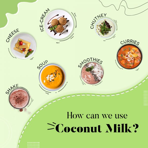 Vegan Coconut Milk Powder | 500g