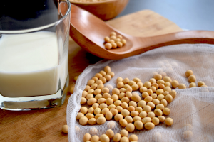 What makes Soy so healthy